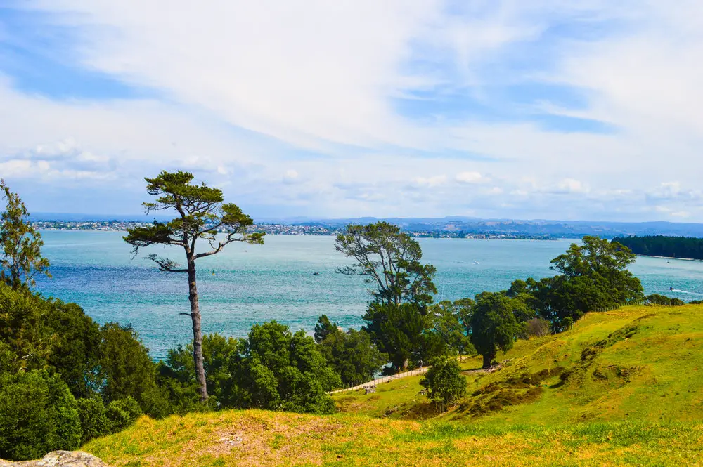 view from volcano in Tauranga