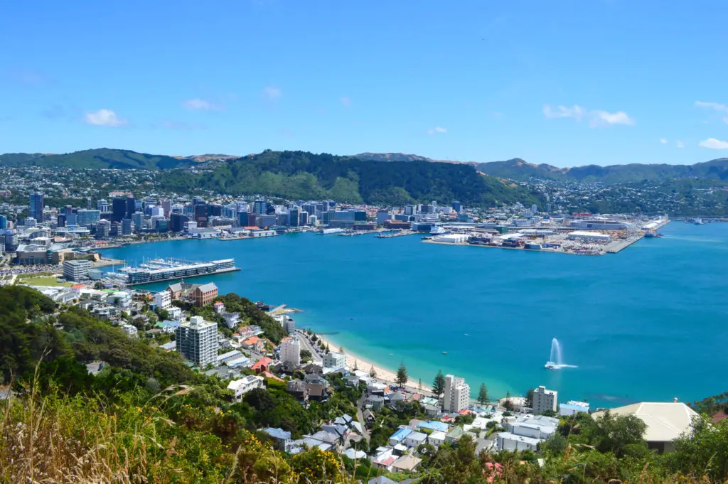 wellington from lookout