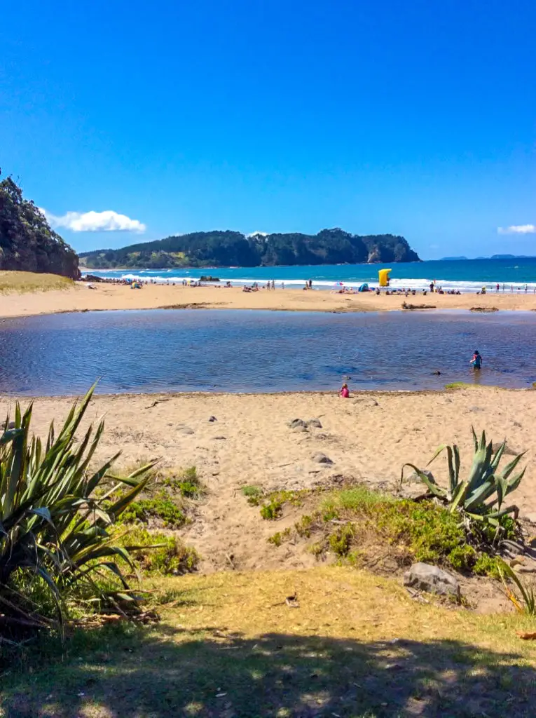 hot water beach in new Zealand