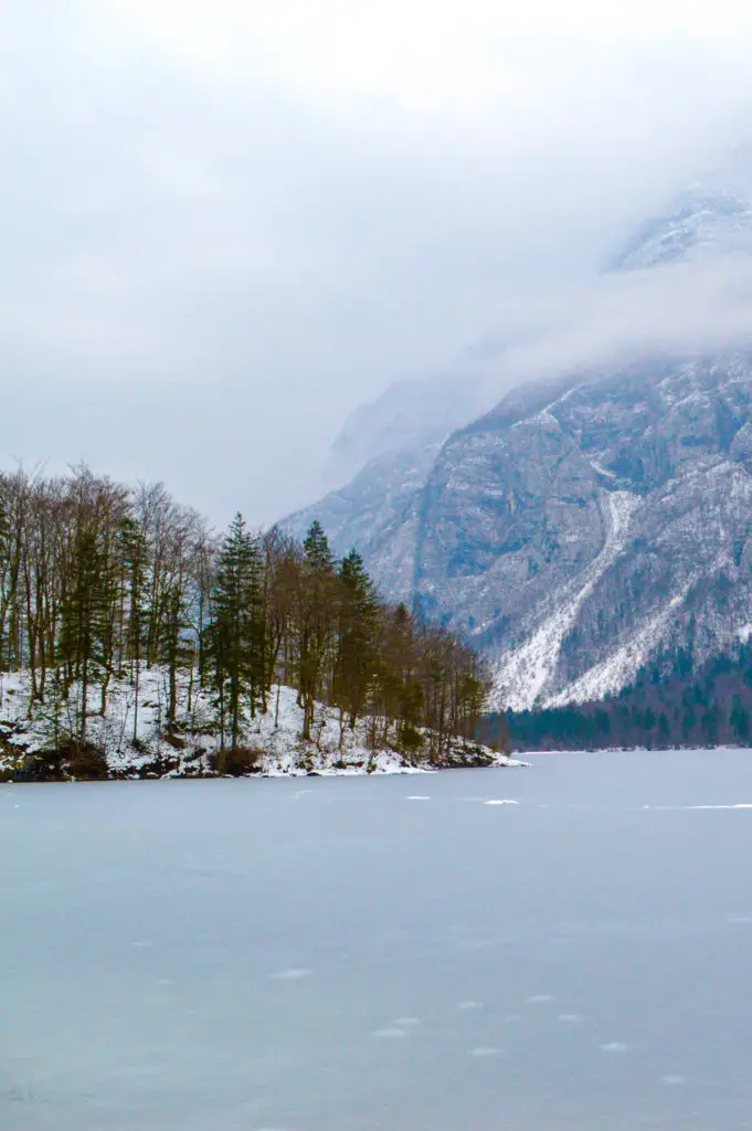 frozen lake with misty mountains and pine trees