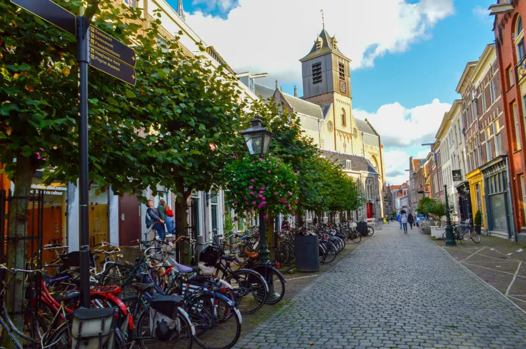 street scene of leiden with cobbled pavement and flowers