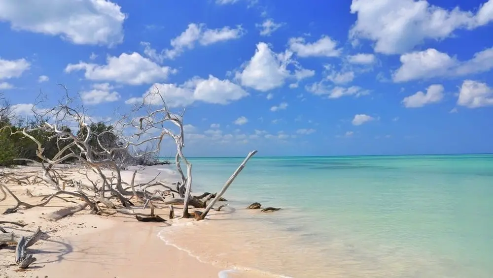 white beach and clear water with mangroves near town of Vinales