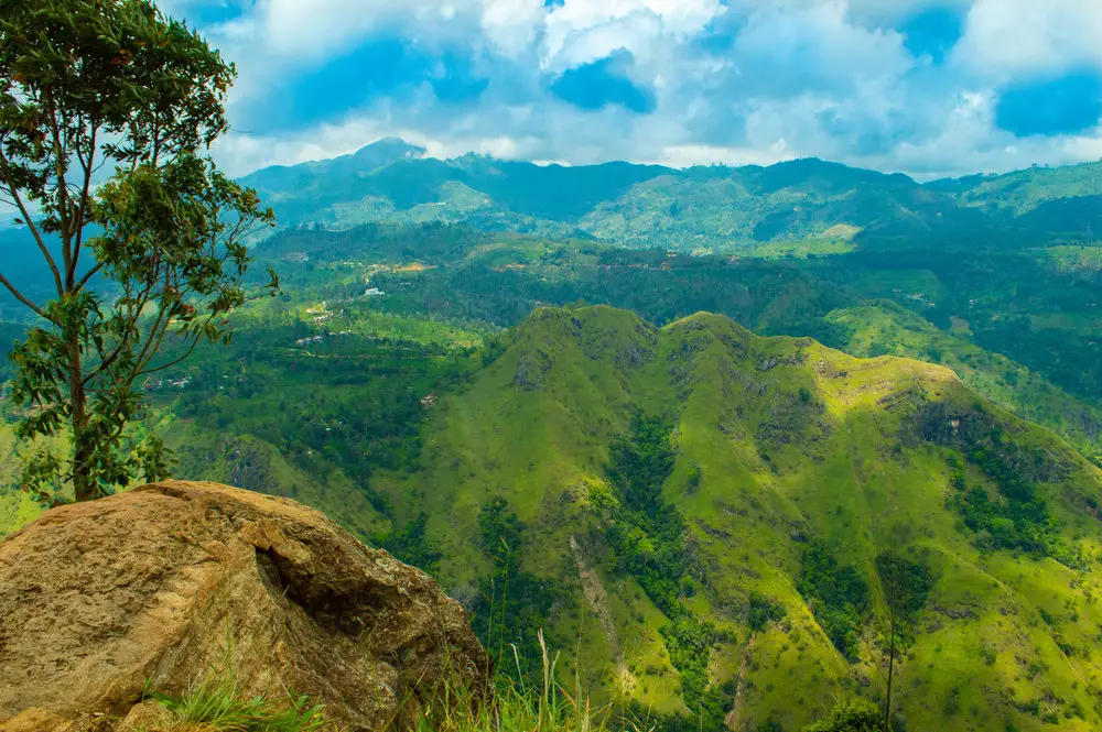 The view from ella rock