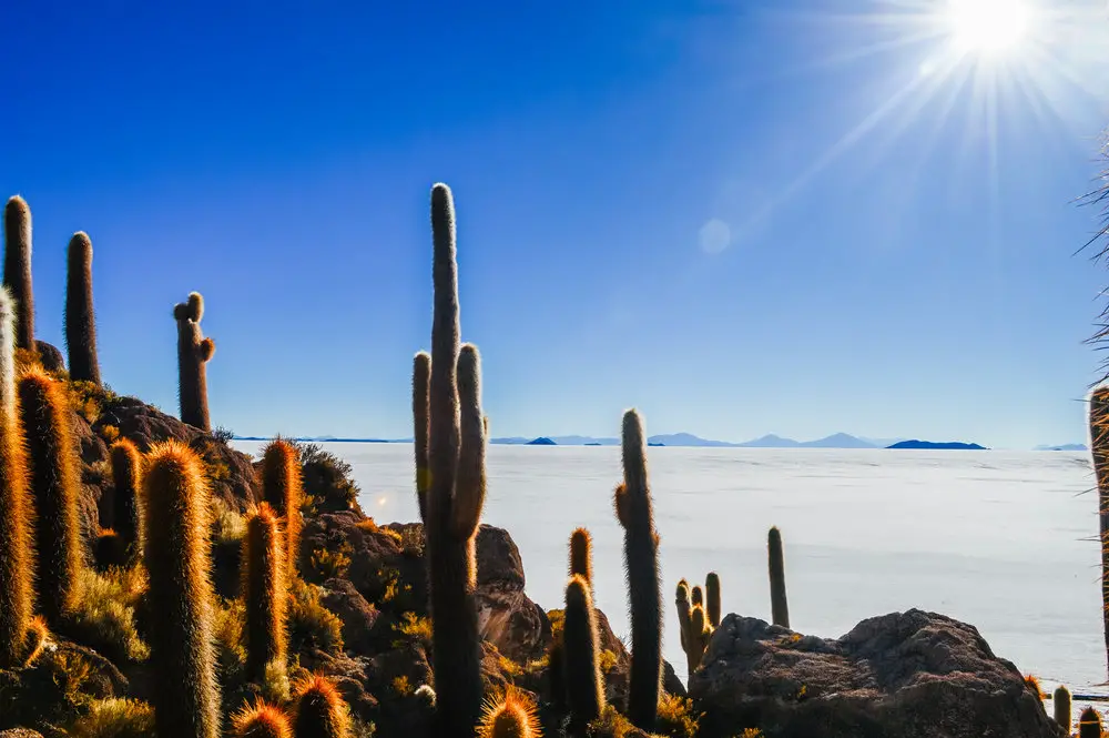 Why Europe Should Add Bolivia to Their Travel Bucket List - Adventure Activities and Outdoor Exploration