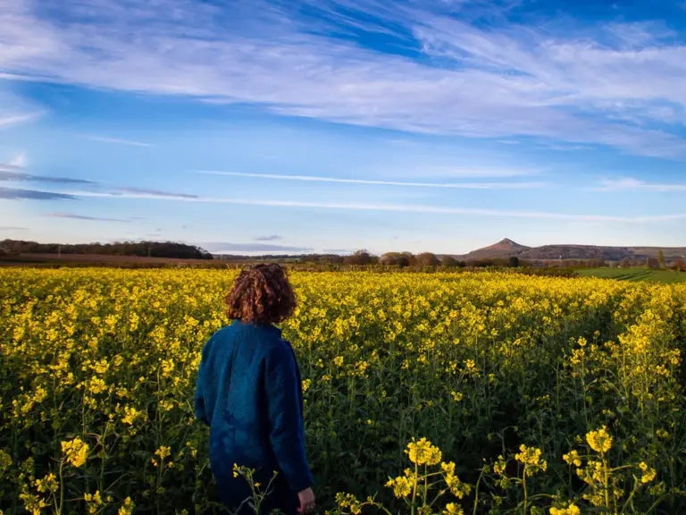 girl in fields of yellow flowers