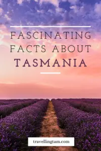 fun facts about tasmania in australia