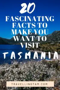 tasmania travel inspiration