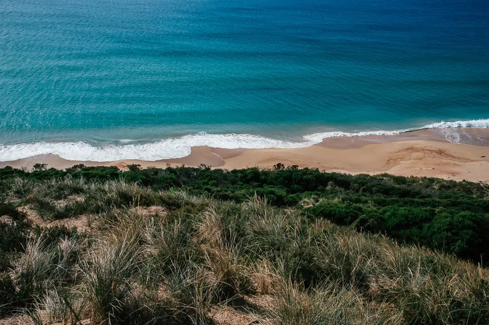 shorelines on the beach with blue sea, sand and green vegetation