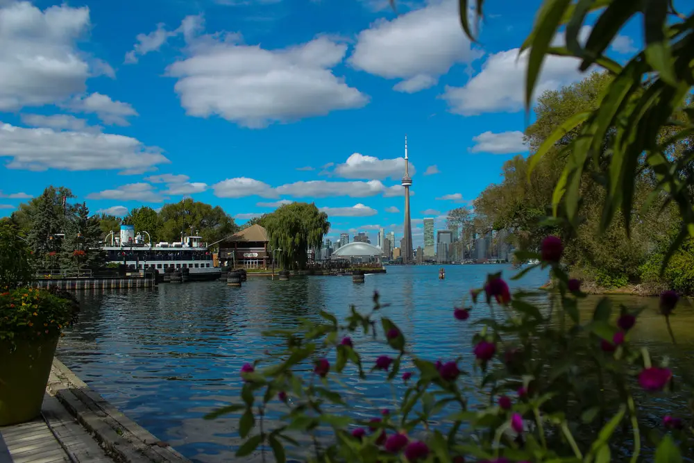 Toronto Island with shrubbery