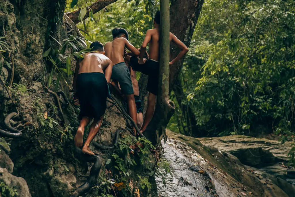 young boys climbing trees to jump into a waterfall pool