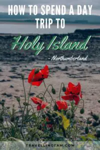 holy island day trip ideas