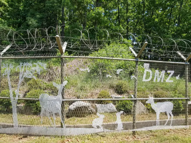 barbed wire at the DMZ border