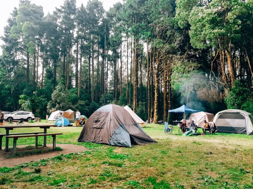 camping at beauchamp falls reserve