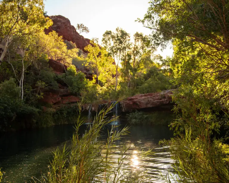 pool of water in creek with trees at Karijini National Park