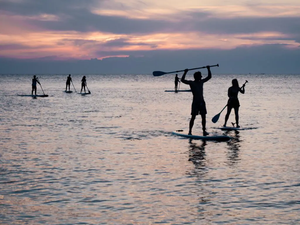 paddle boarding at sunset with silhouette figures