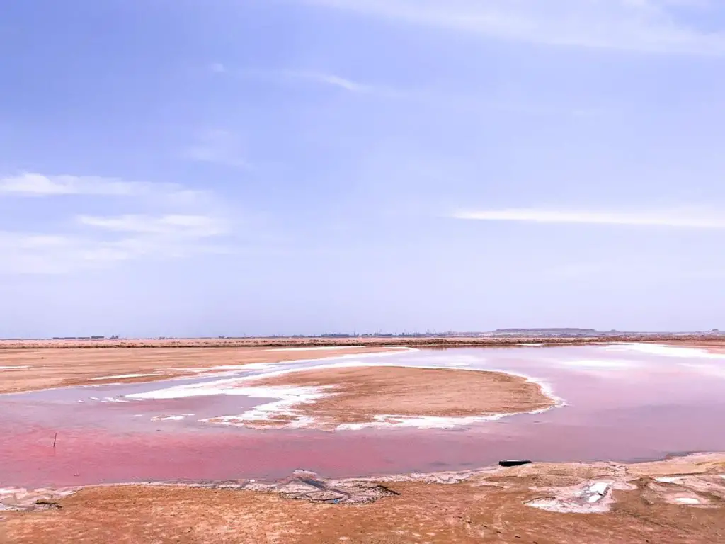 pink salt lake in desert
