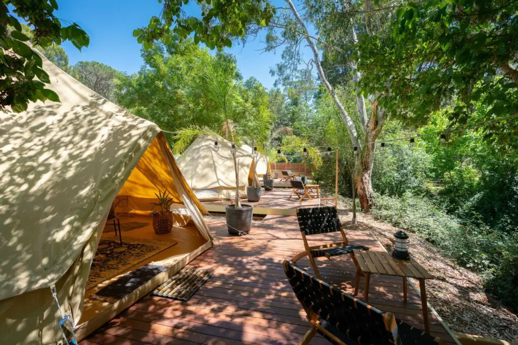 tents on a deck in a garden