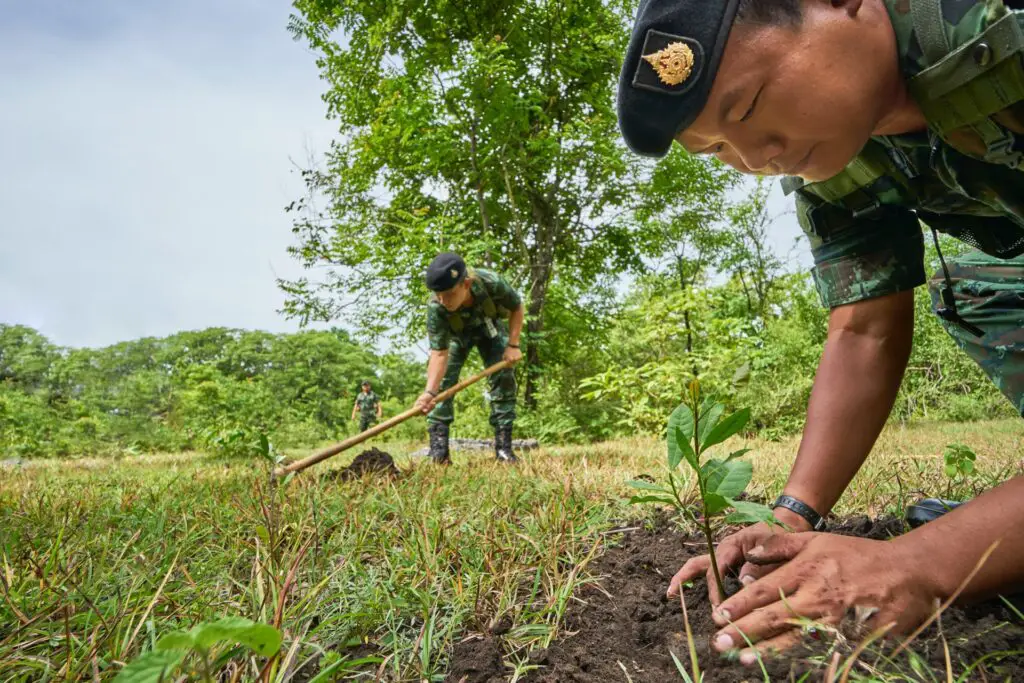 army planting trees in field