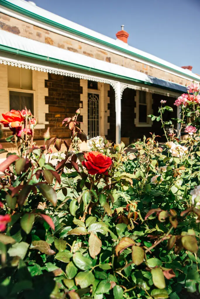 roses in front of terraced copper miners cottage