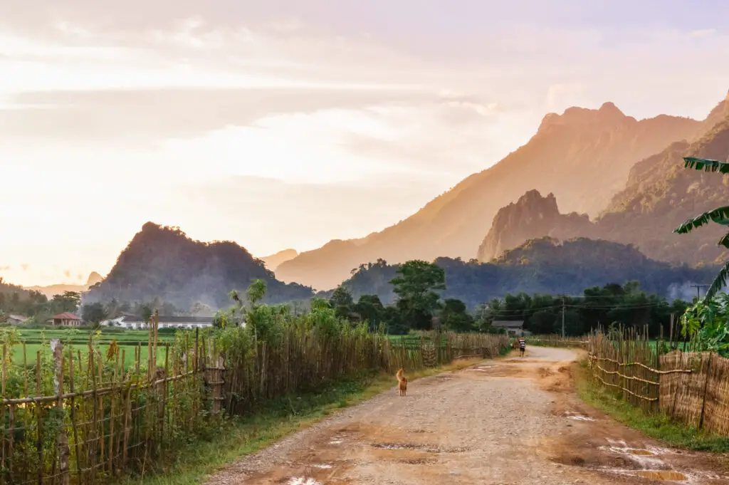 Laos countryside at sunset with a dog