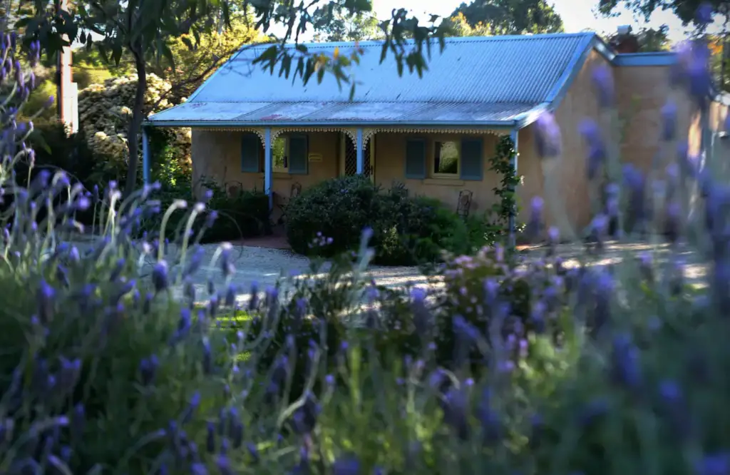 historic cottage in clare surrounded by purple flowers