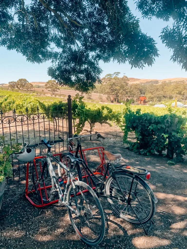 bikes at Crabtree Winery in front of vines