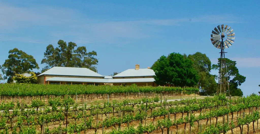 cottage with vines in foreground