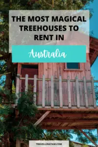 epic treehouse accommodation in australia
