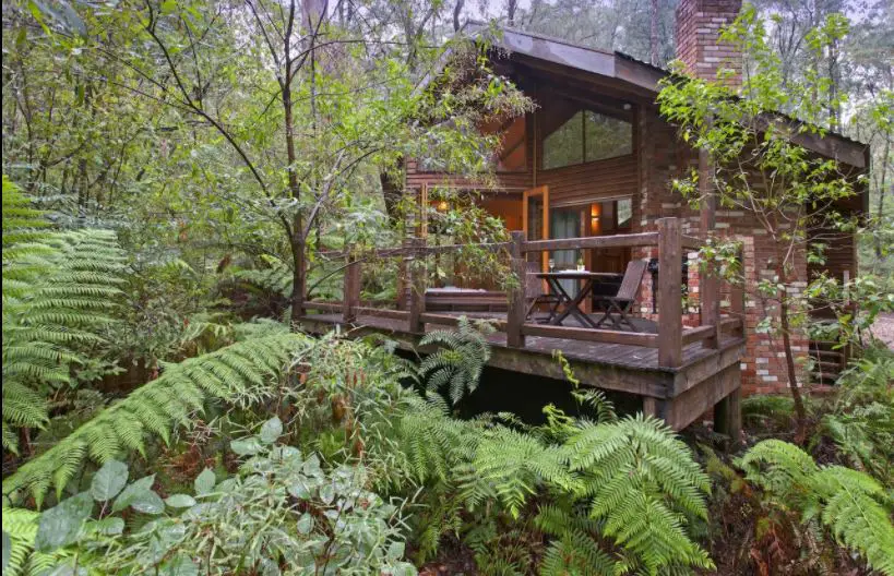 treehouse accommodation in victoria australia