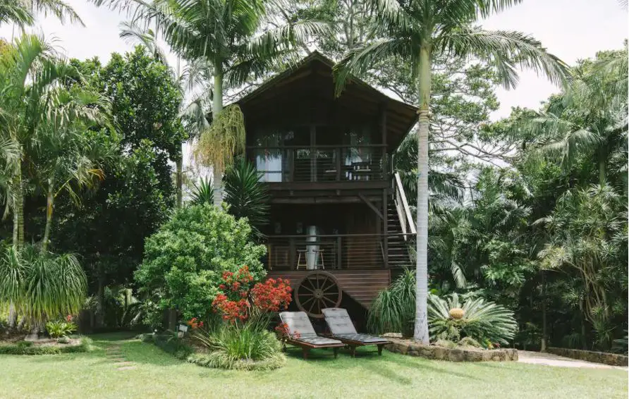 tropical treehouse holiday rentals