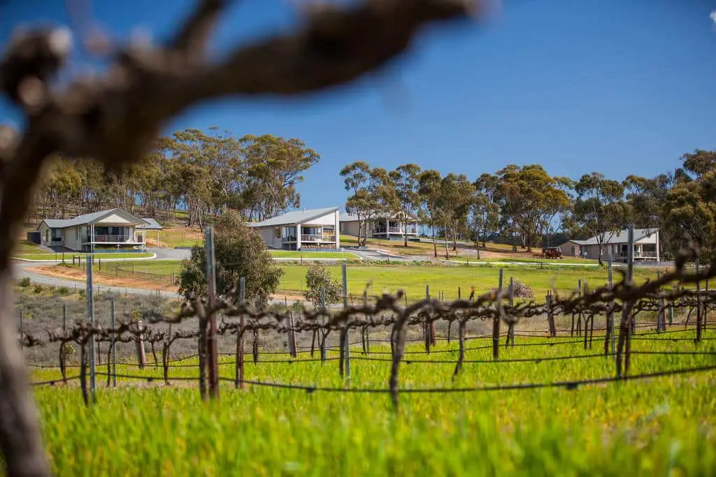 villas with vineyard views in clare valley
