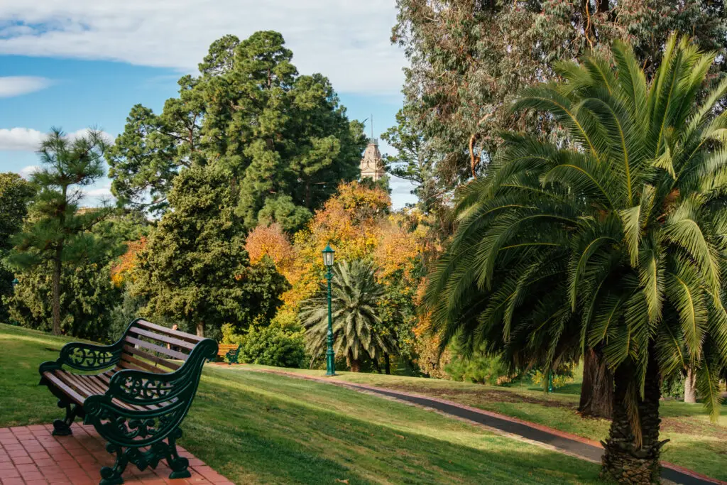 park bench and greenery in rosalind park