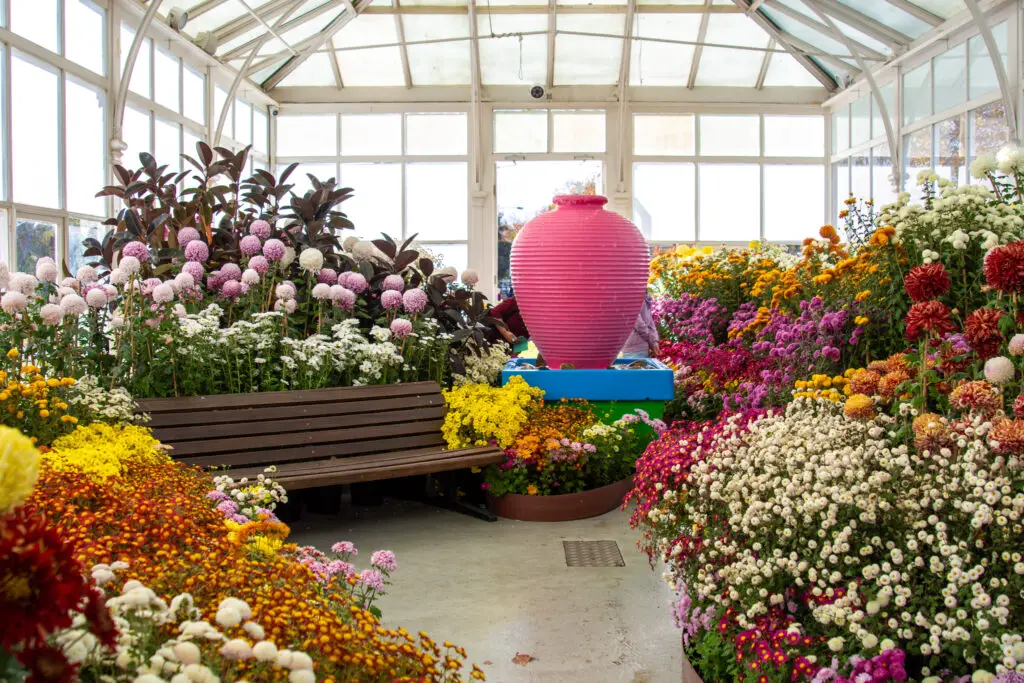 flowers in white conservatory