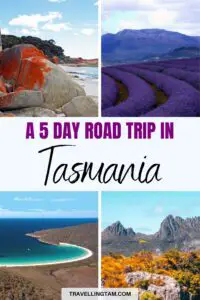 tasmania road trip guide