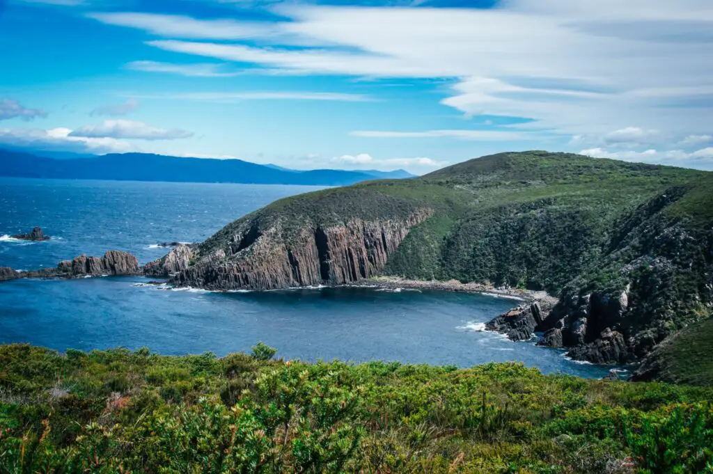 dolerite cliffs and green vegetation at cape bruny in Tasmania