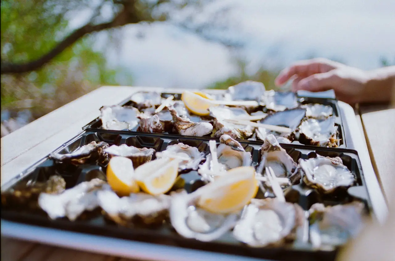 tray of natural oysters outside with lemon