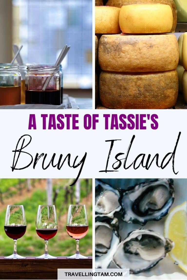 bruny island food and wine tour