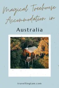 unique tree house accommodation in Australia