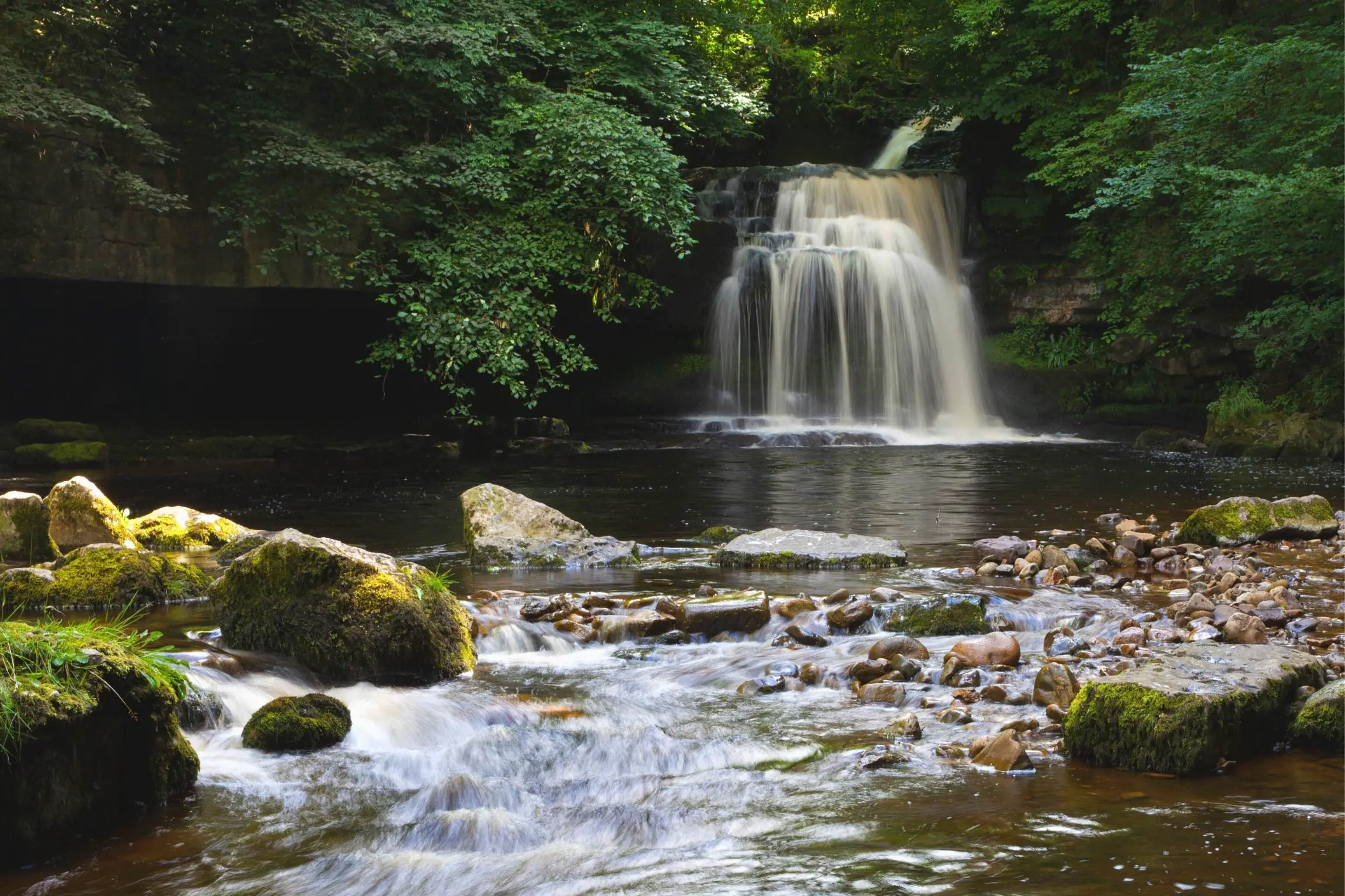 waterfall and stream in a woodland in Yorkshire