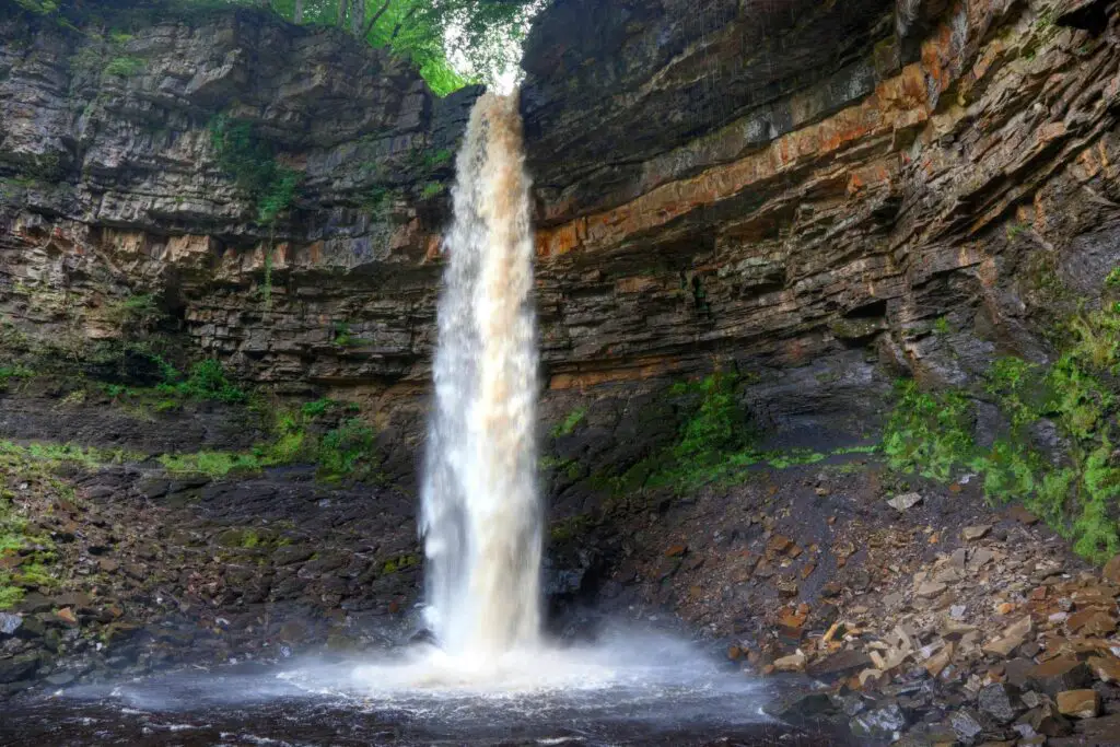 hardraw Force