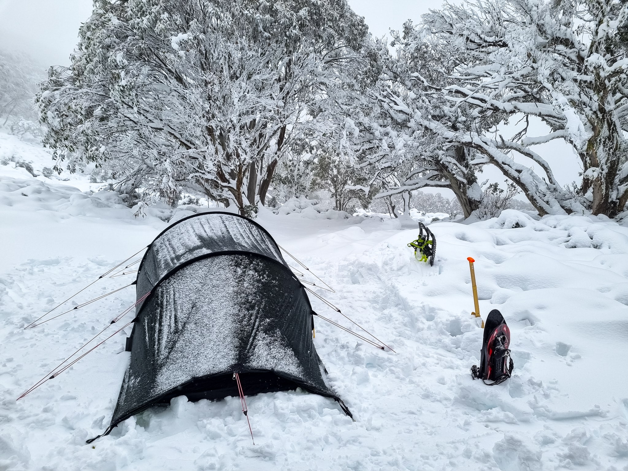 7 of the best winter camping spots in Victoria