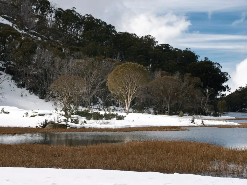 lake catini campground