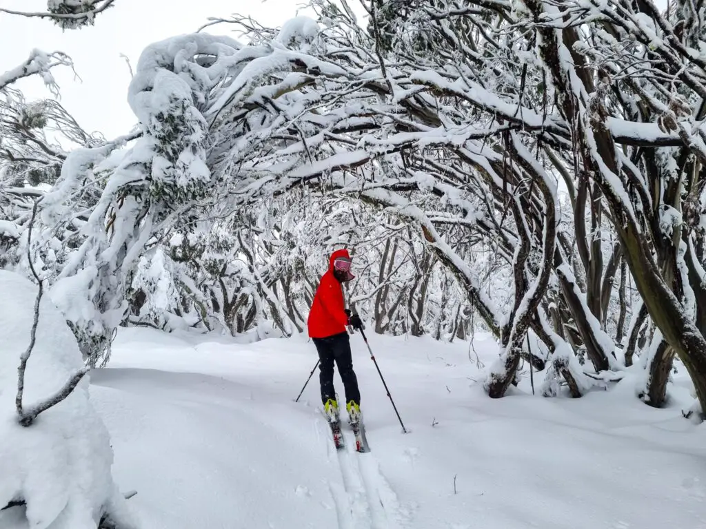 skiing near king spur hut