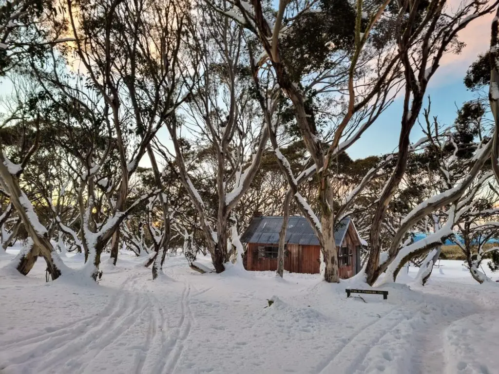 JB Plain hut in snow with trees in foreground