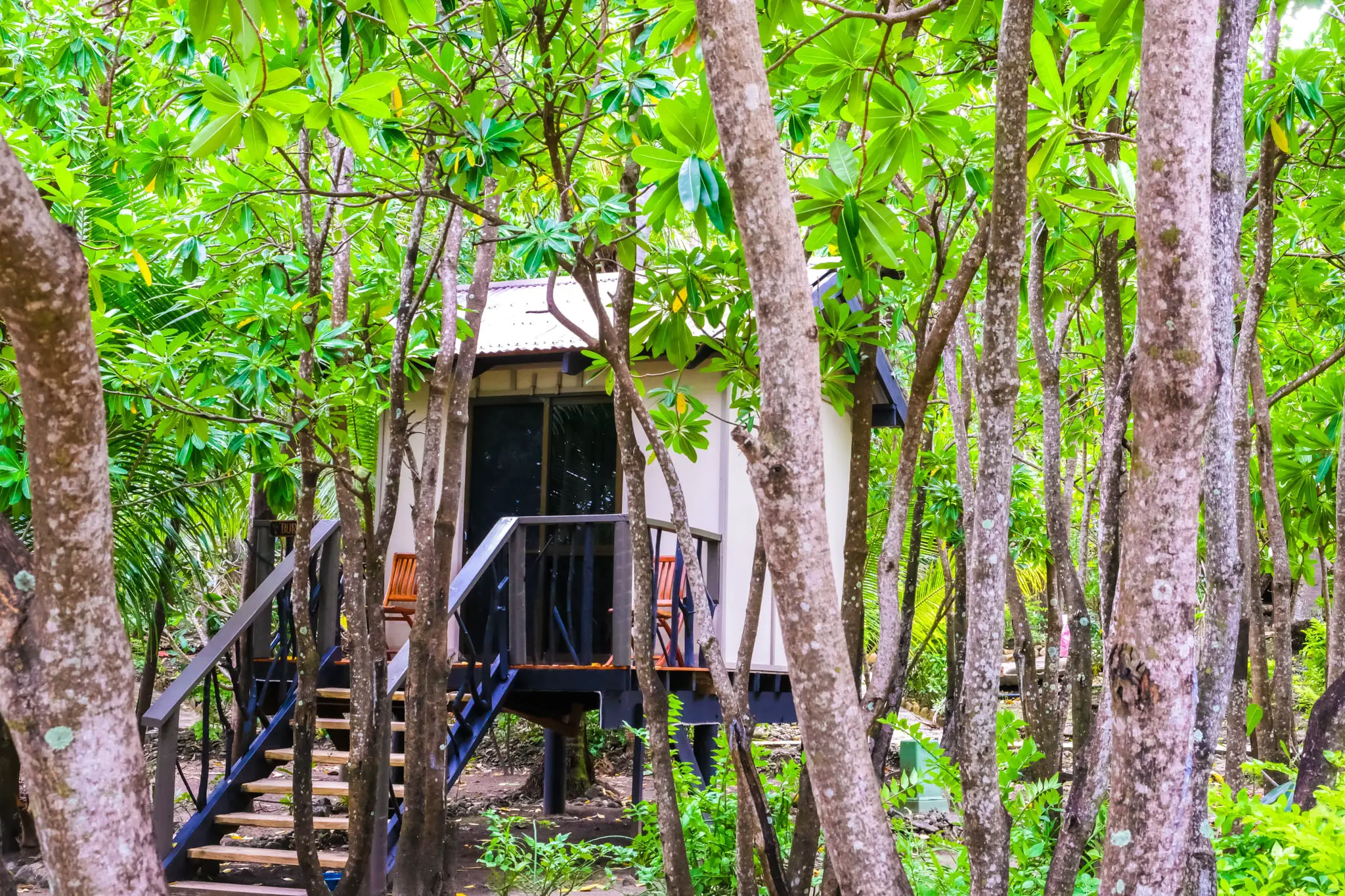 Staying in a Treehouse Bure in Fiji