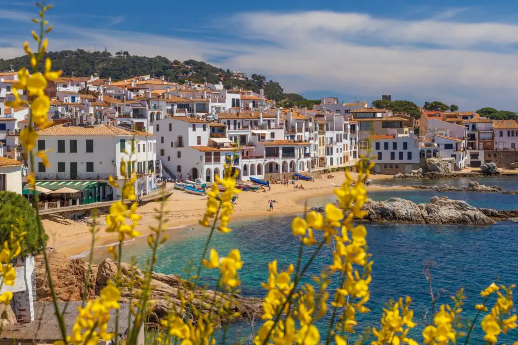 white buildings on a sandy bay in Spain with yellow flowers in foreground