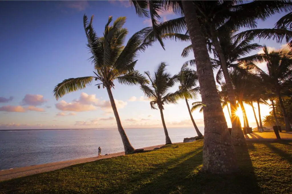 fiji beach with palm trees sunset