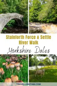 stainforth force guide