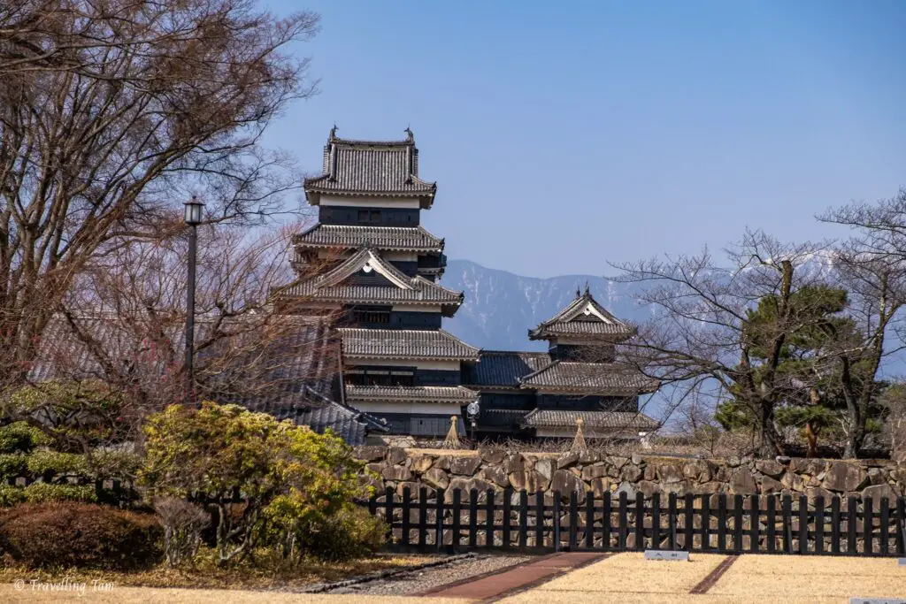 matsumoto castle with pink blossom 