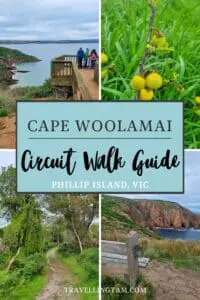 Cape Woolamai Guide